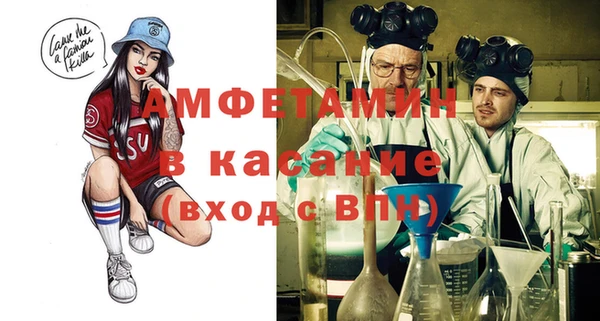 дмт Пересвет